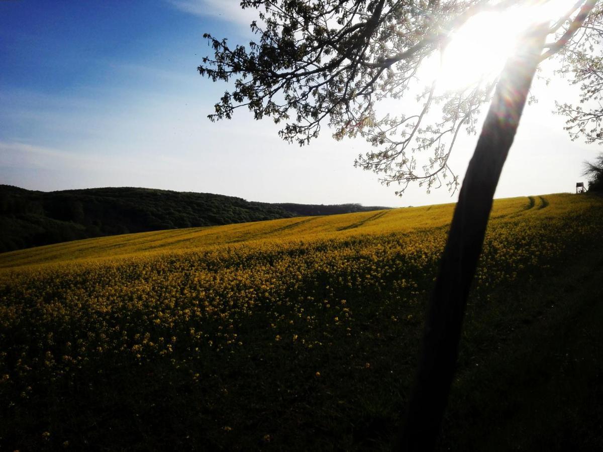 Varga Villa Orfű Eksteriør billede